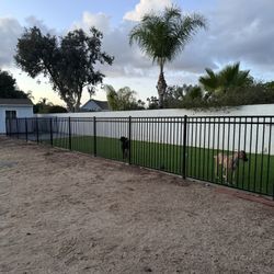 DOG RUNS - Dog Kennel 