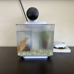 Fish Care Kit 