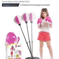 Punching Bag With Gloves