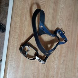 Dog Harness