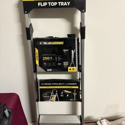 Gorilla Platform Ladder (move Out Sale)