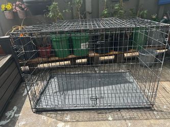 Case for dog