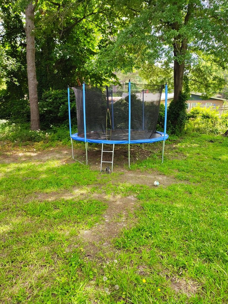 Trampoline 