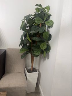 Artificial fiddle leaf tree