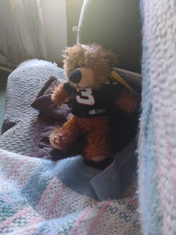 6" NASCAR RACING DALE EARNHARDT # 3 PIT STOP BROWN TEDDY BEAR PLUSH TOY