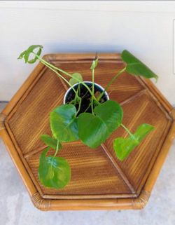 Wicker Patio Table