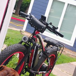 Ebike