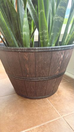Large Barrel-Style Plant Pot lengua de suegra