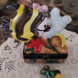 Tropical angelfish around Coral