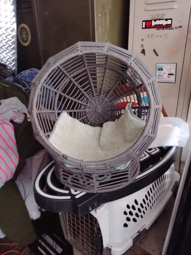 Cat Bed Basket Missing Pillow