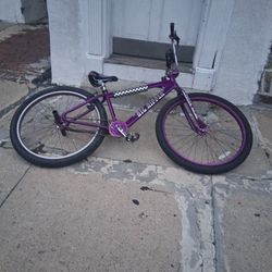 Big Ripper Purple 