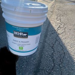 5 Gallon, White Paint + Primer 