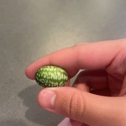 Cucamelon
