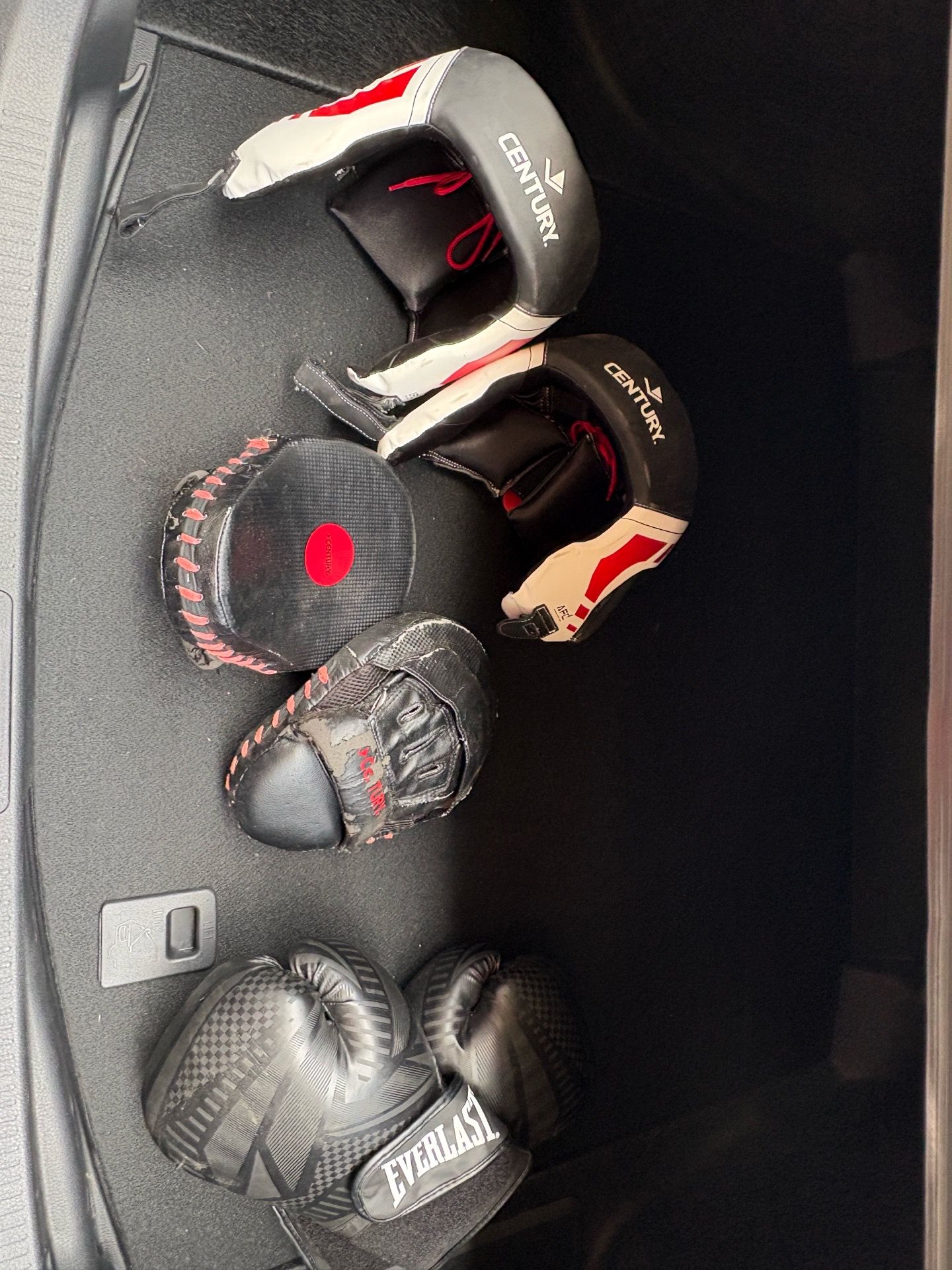 Boxing/sparring Gear