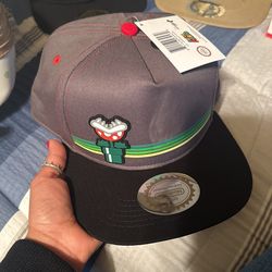 Nintendo Super Mario Hay 