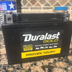 Duralast Gold (AMG) Power Sports Battery 