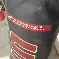 100lbs UFC Punching Bag 