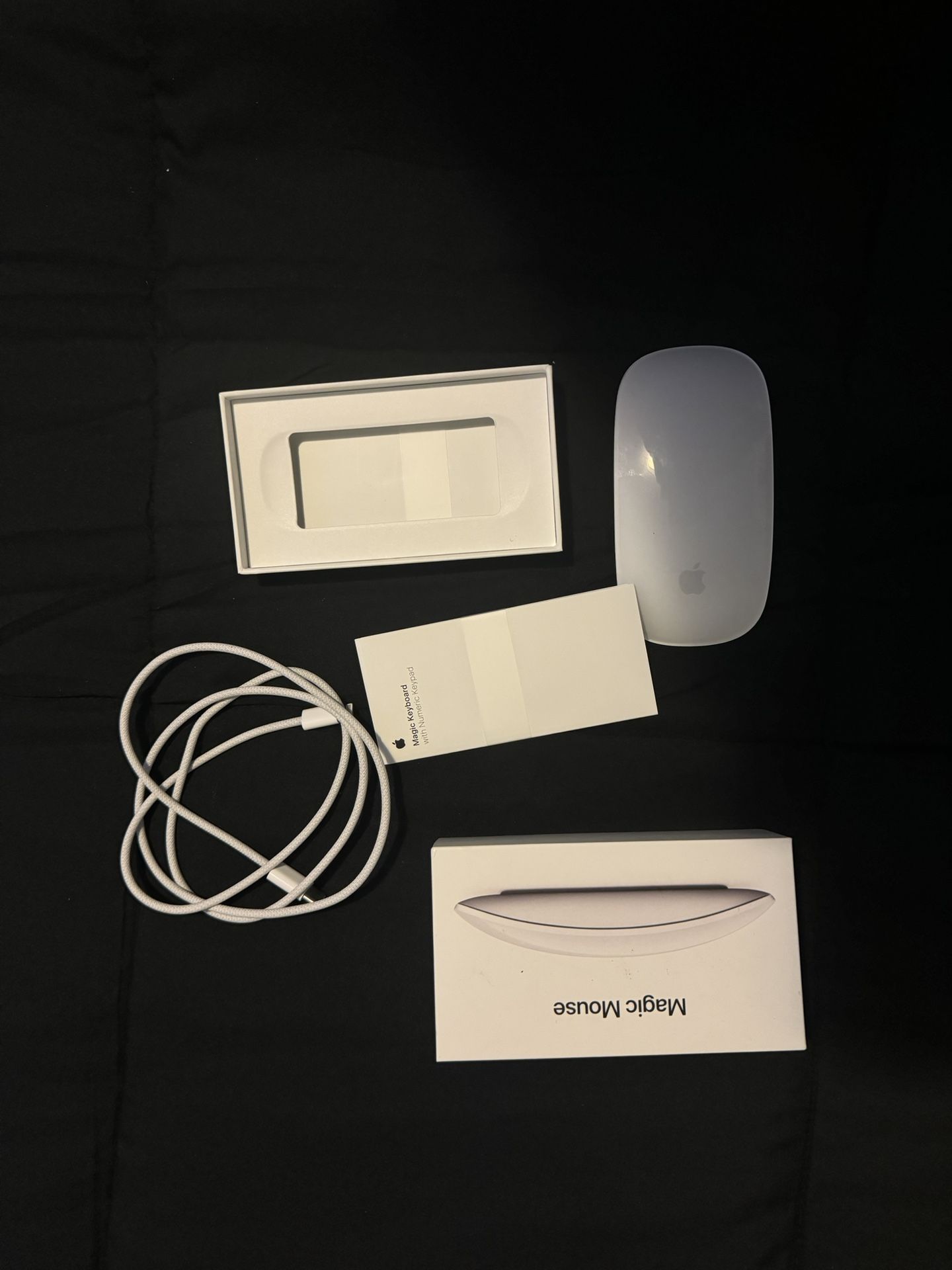 Apple Magic Mouse