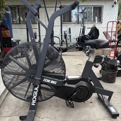 Rogue Echo Bike For Sale V3 