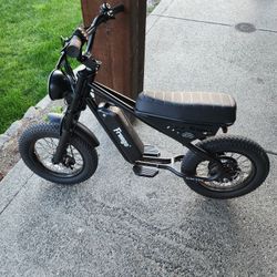 Freego Mini Electric Dirt Bike for Kids Adults,800W(Peak) Motor/48V/10.4Ah, 16" x3 Fat Tire Off Road Electric Motorcycle 31mph/25mph