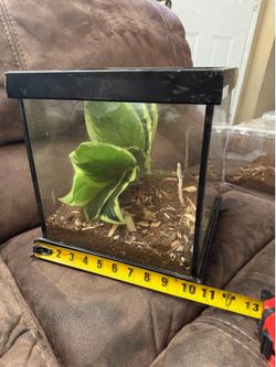Terrarium Reptile Tank Enclosure