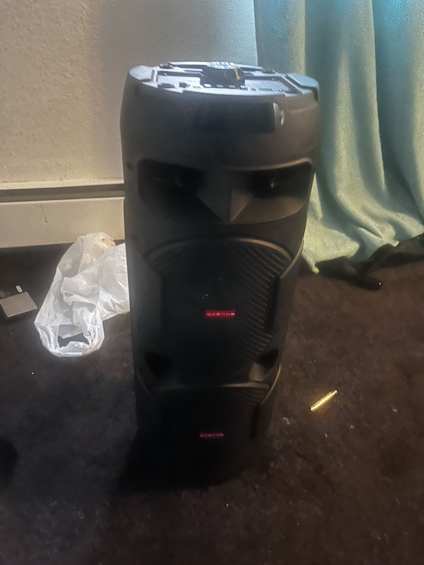 Speaker 