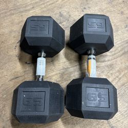65lb Dumbbells 
