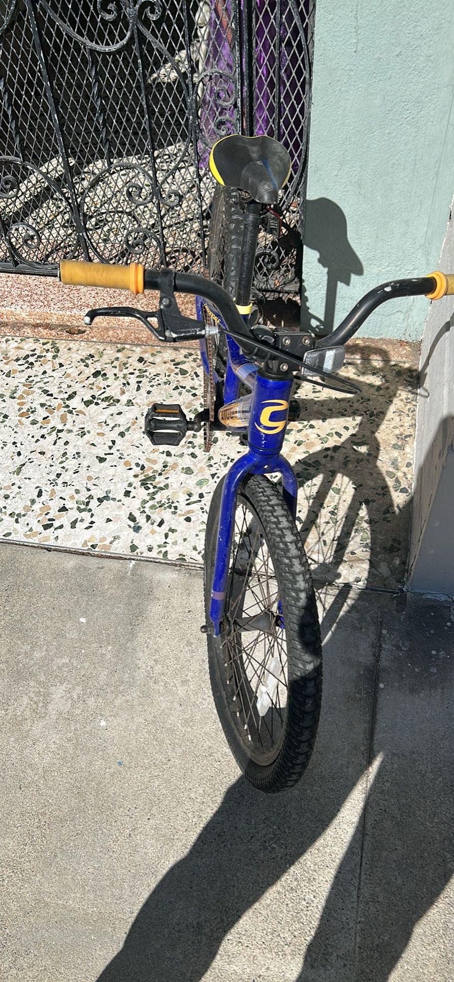 Kids single speed bike