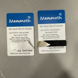 Mammoth lake activity/lift/Rentals Voucher