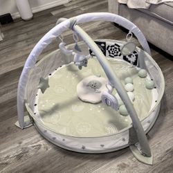 Baby Play Gym 
