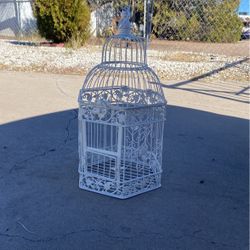 Bird Cage