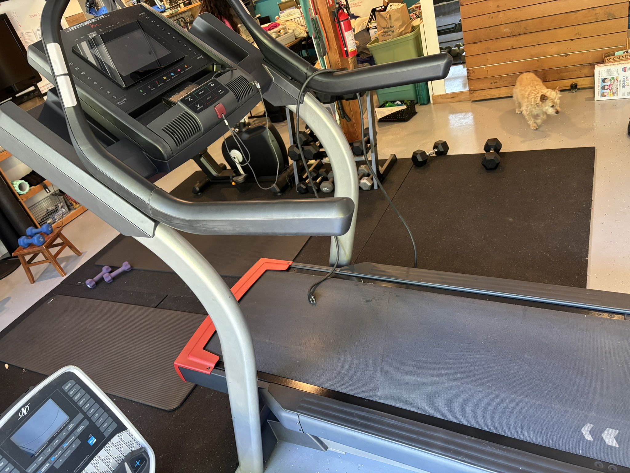 Freemotion i11.9 Incline Trainer Treadmill