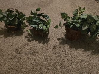 3 Small Artificial Plants With Wicker Basket
