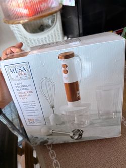 4 in 1 immersion blender