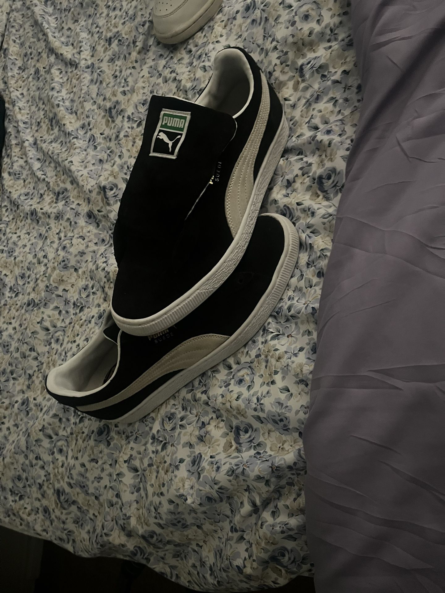 Pumas 