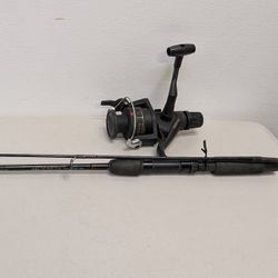 Fishing Pole And Reel