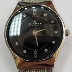 Ladies Skagen Watch