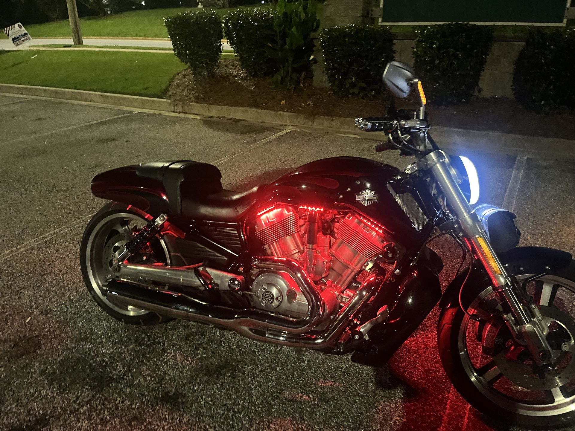 2016 HARLEY DAVIDSON VROD MUSCLE