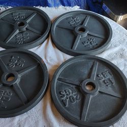 45 Lb Olympic Weight Plates Home Gym