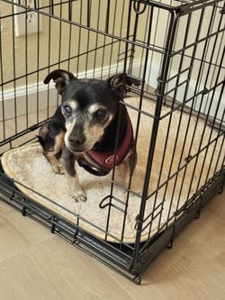 Pet crate