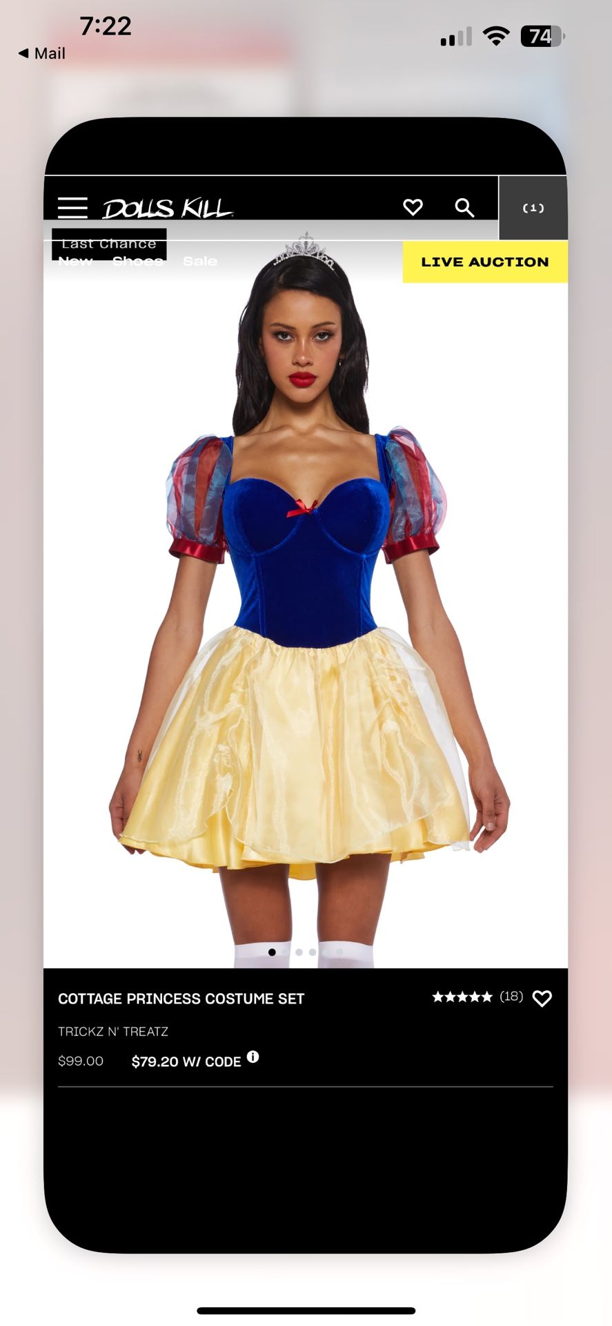 Snow White Halloween Costume