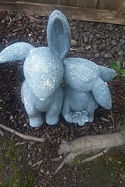 blue bunnys
