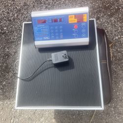 Quality Body Comp Scale , American Weights / Measures 