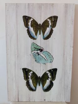Rustic White Washed Panels With Painted Butterflies Picture 