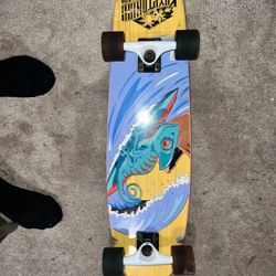 USED skateboard