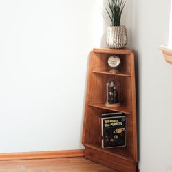 Mid Century Bookshelf Corner Cabinet 