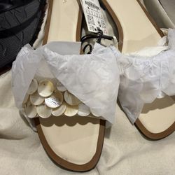 They Size 11 Brand New 