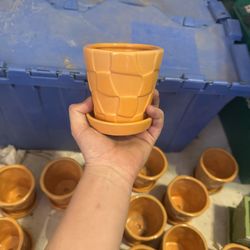 Flower Pot