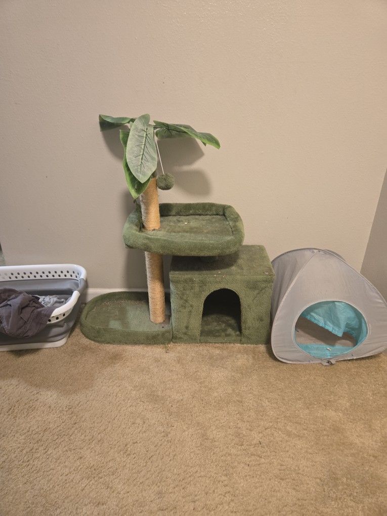 Cat Tree