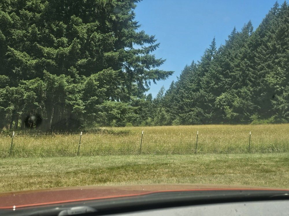 2025 Grass Hay